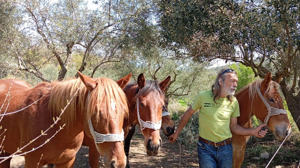 Μαργέλι: Το θαύμα αναγέννησης  ενός μικρού χωριού