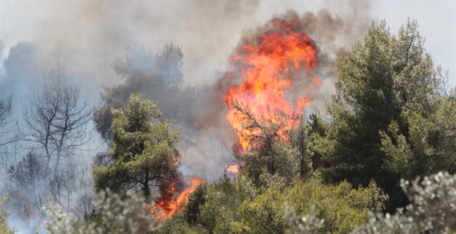Χρηματοδότηση σε Δήμους για ζώνες  προστασίας από δασικές πυρκαγιές σε οικισμούς