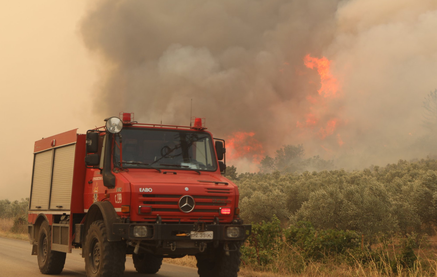 Επικίνδυνο κοκτέιλ καύσωνα  και εκδήλωσης πυρκαγιών