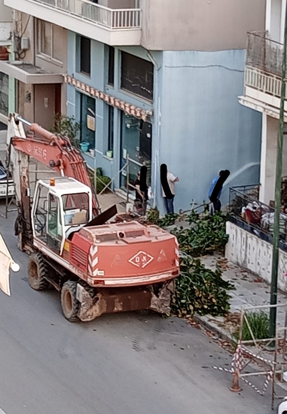 Κοπή δέντρου… Γιατί;
