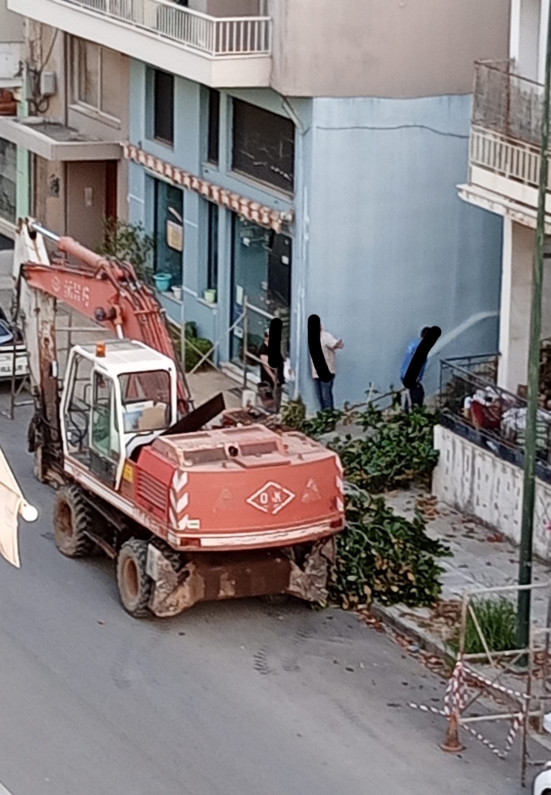 Κοπή δέντρου… Γιατί;