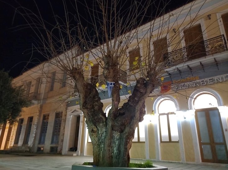 Φιλιατρά: Άγνωστοι αφαίρεσαν τη σήμανση  από τη μνημειακή Μουριά Ταμπάκη