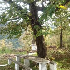 Η «επιστροφή» της Καλαμάτας στον Ταΰγετο