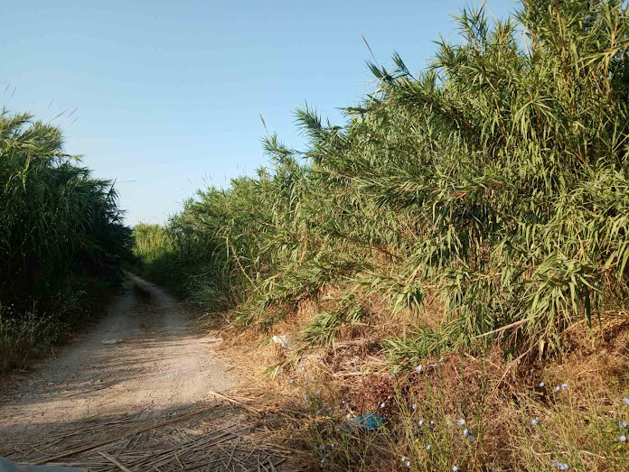 «Βραδυφλεγής βόμβα» στα θεμέλια  πολιτικού και στρατιωτικού αεροδρομίου