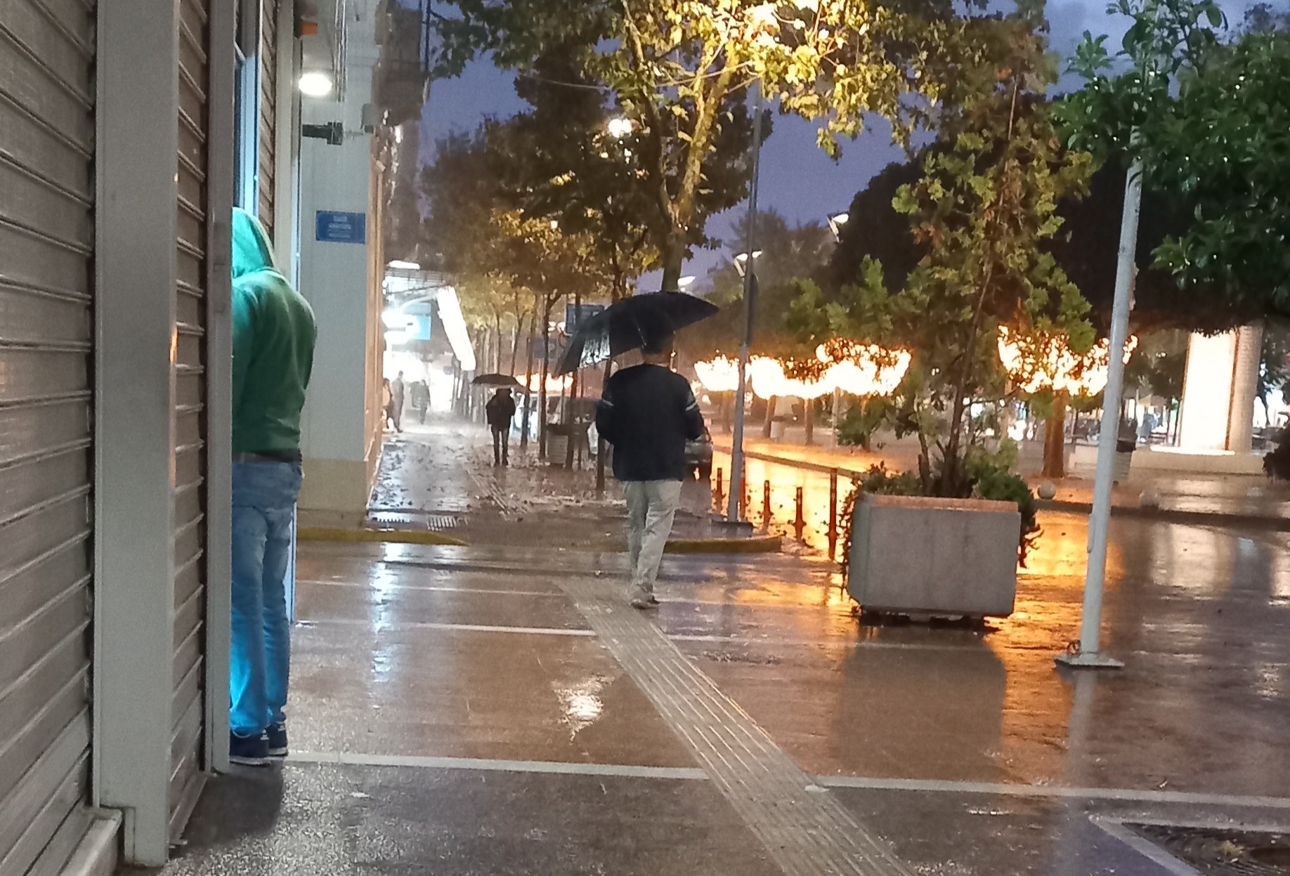 Καμία ευαισθησία