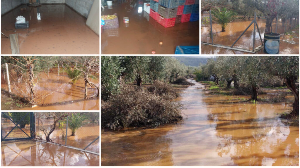Ανάστατοι οι αγρότες σε Τριφυλία και Πυλία από τις έντονες βροχοπτώσεις