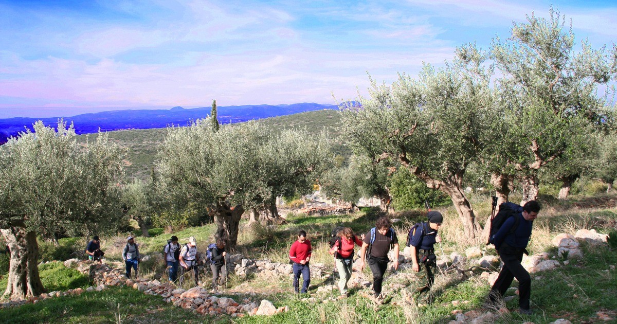 Εξόρμηση με τον Ορειβατικό Σύλλογο Καλαμάτας στο μονοπάτι που συνδέει Άγριλο με Πολιανή