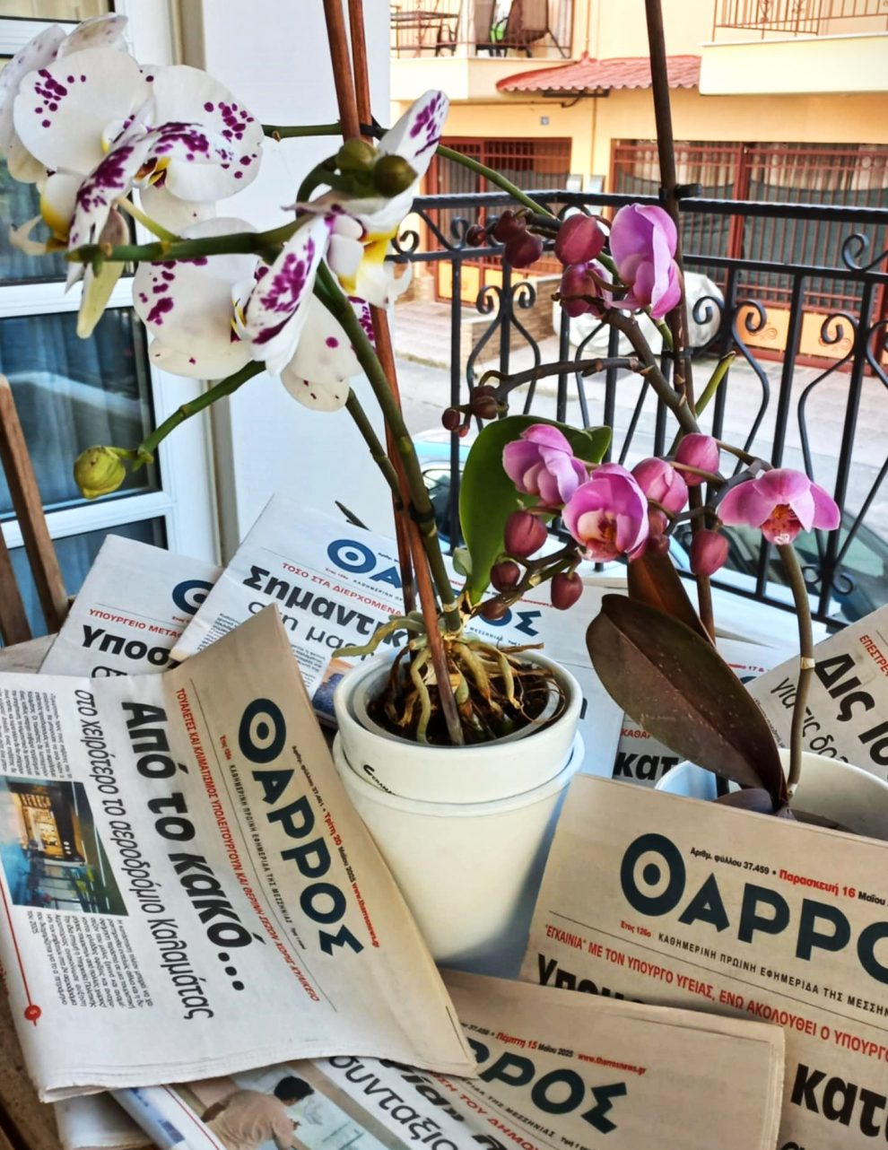 Πανελλαδικές Εξετάσεις: Ανθισμένα  λουλούδια οι ευχές μας, με θάρρος…