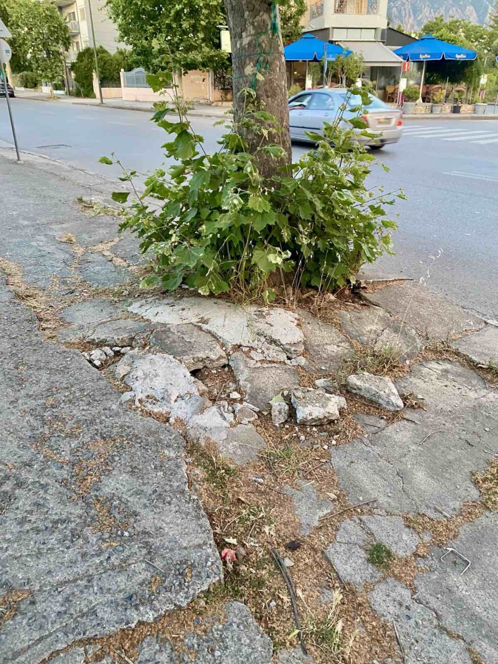Πόσοι ακόμη πρέπει να πάνε  στο νοσοκομείο για να διορθωθεί;