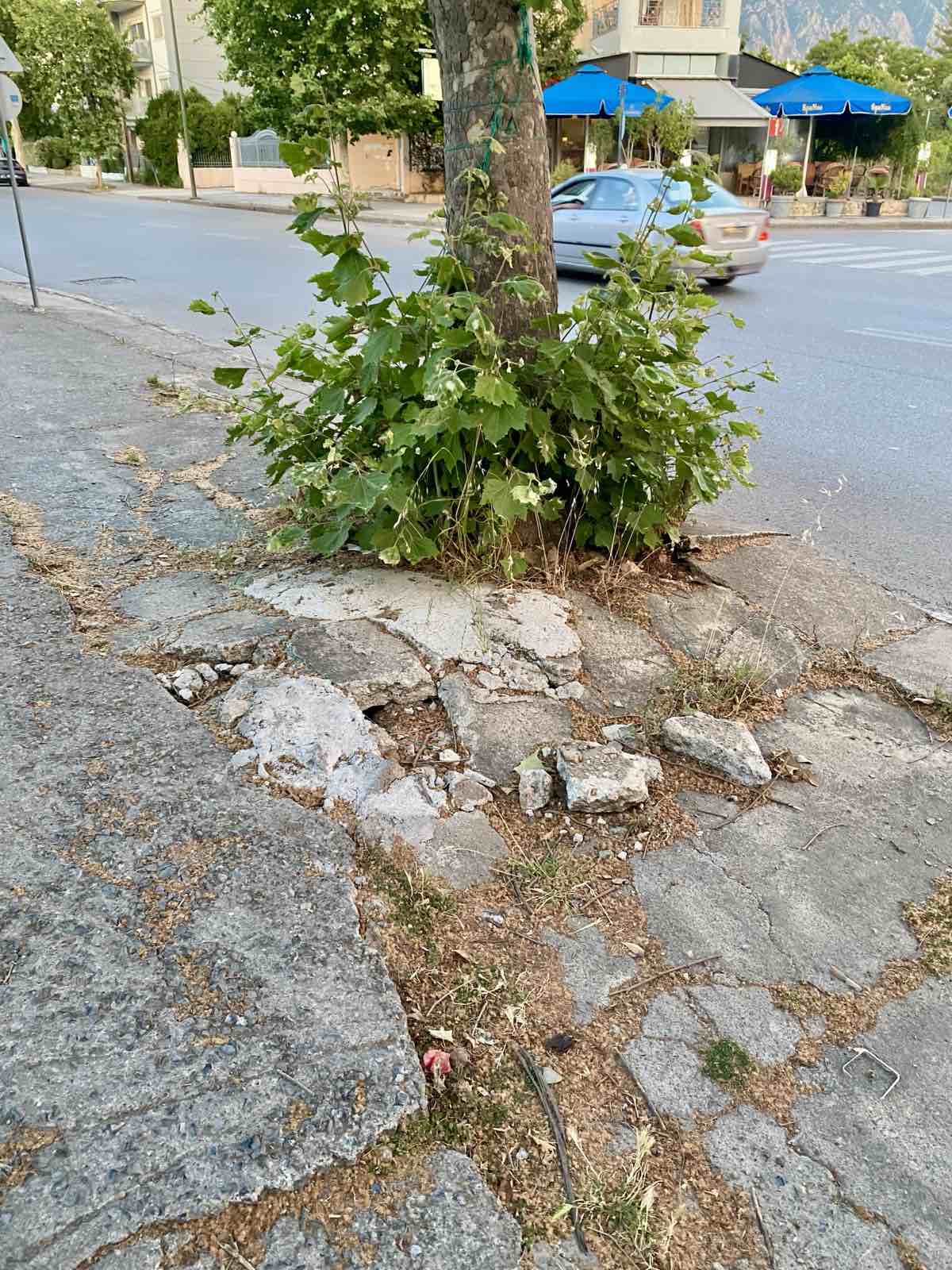 Πόσοι ακόμη πρέπει να πάνε  στο νοσοκομείο για να διορθωθεί;