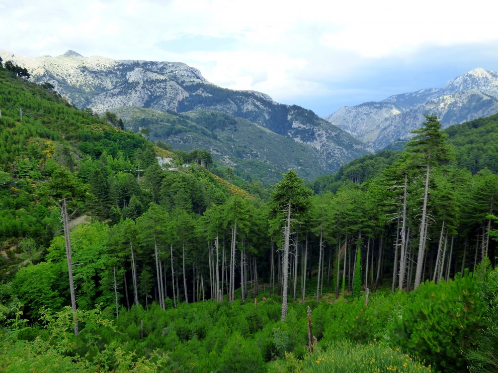 Το 1ο Διεθνές Κινηματογραφικό Camp Ταϋγέτου από το Κέντρο Δημιουργικού Ντοκιμαντέρ