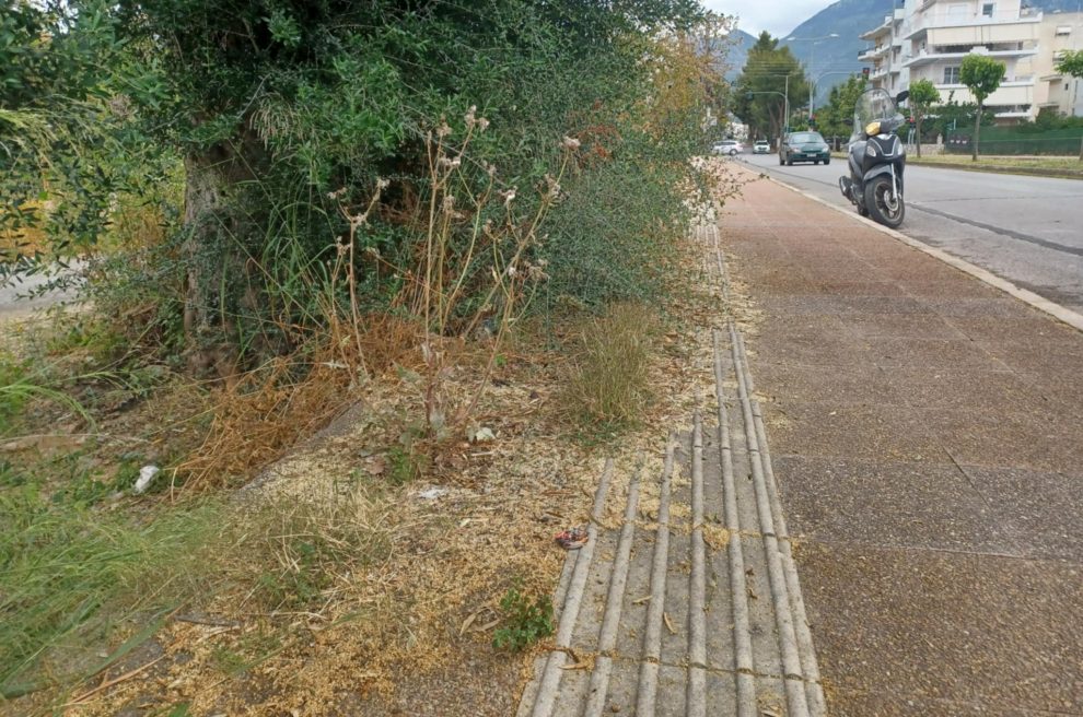 Καλυμμένη με χορτάρια η διάβαση τυφλών