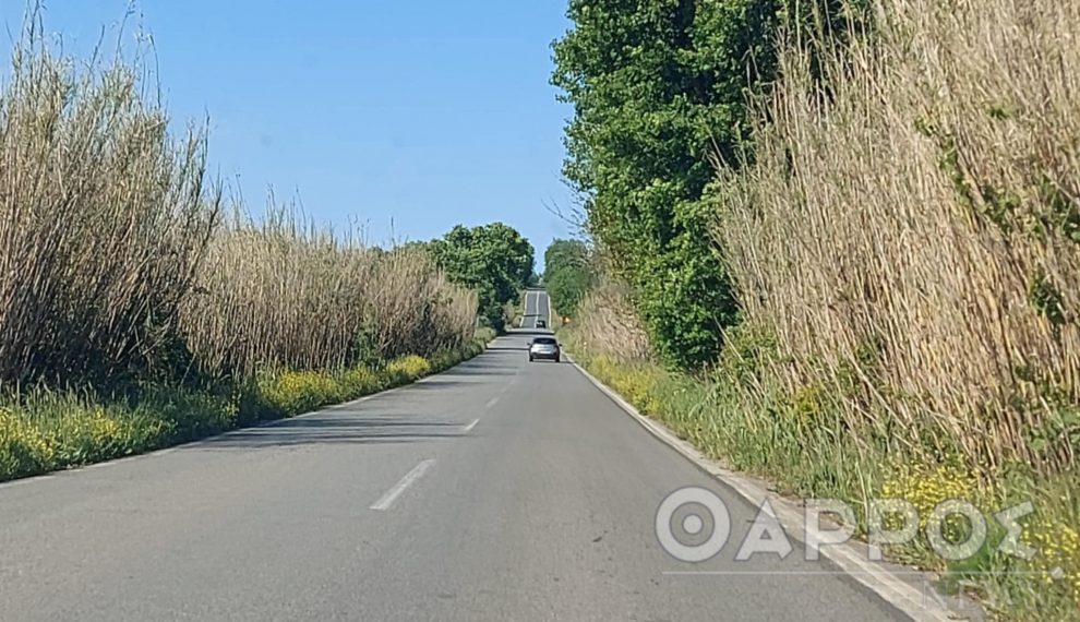 Παράταση διακοπής κυκλοφορίας  σε τμήματα του δρόμου Μεσσήνη – Ριζόμυλος – Πύλος