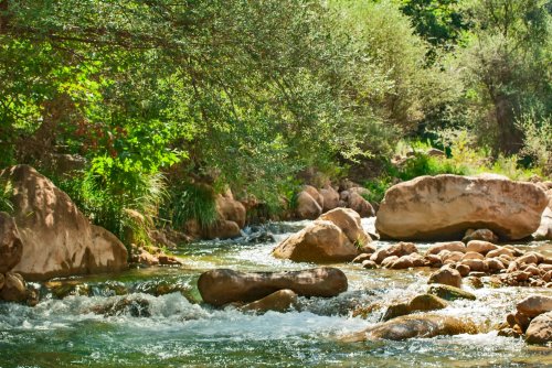 Έκκληση για ενέργειες προστασίας της Νέδας