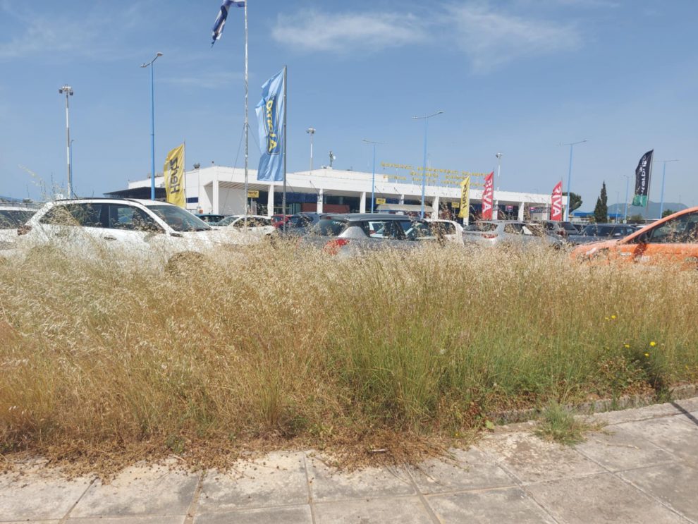 Αεροδρόμιο Καλαμάτας: Ας βάλουν ένα χορτοκοπτικό,  διαφορετικά ας πάρουν μια κατσίκα…