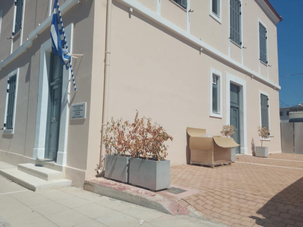 Φυτά μιας χρήσης