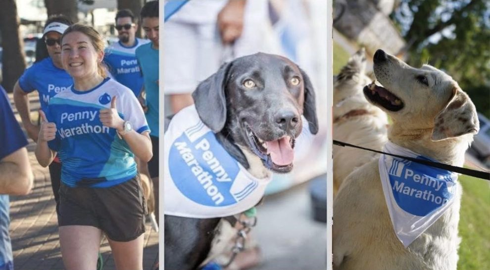 Penny Marathon 2025: Πρόσκληση συμμετοχής στο φιλοζωικό αγώνα που θα γίνει στη Μπούκα