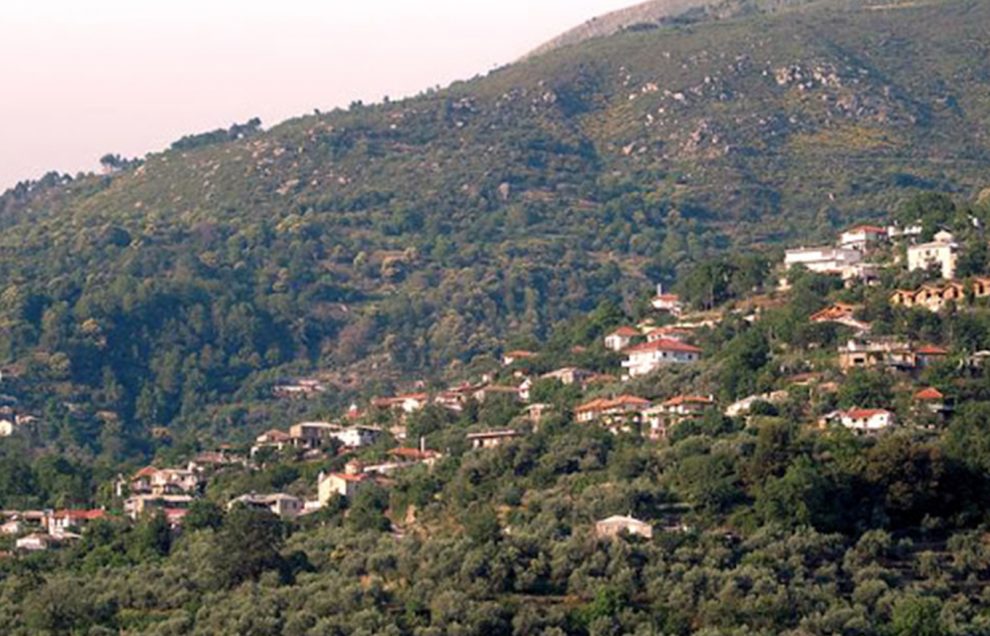 Δημήτρης Πτωχός για το πρόγραμμα για μικρομεσαίες επιχειρήσεις και ελεύθερους επαγγελματίες