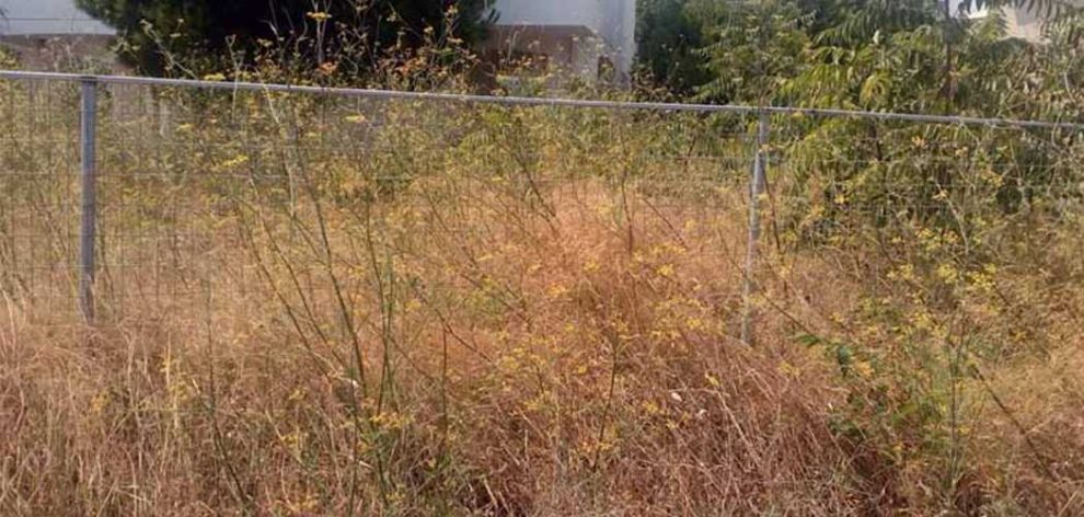 Καθαρισμός οικοπέδων: Τέλος χρόνου για τους ιδιοκτήτες στην Καλαμάτα -Από 16 Ιουνίου οι έλεγχοι