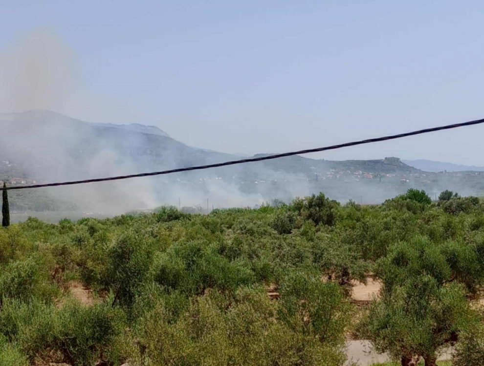 Φωτιά στην Ασπροπουλιά