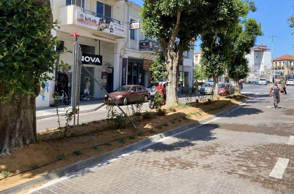 Νέες φυτεύσεις στη νησίδα
