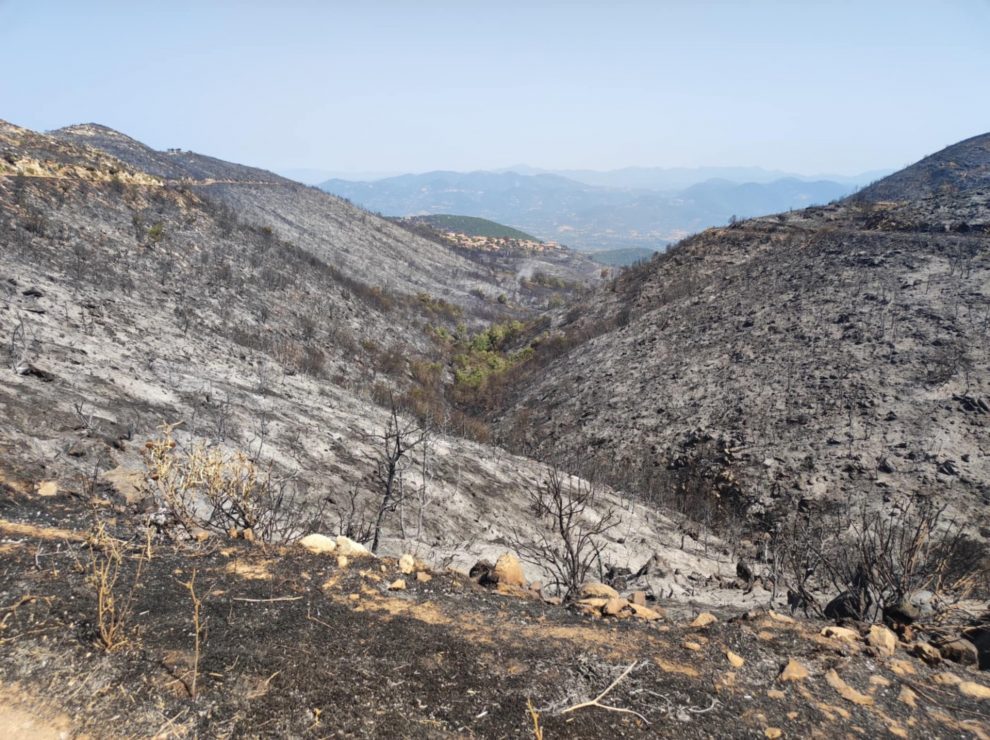 Τριφυλία: Σύσκεψη παρουσία Κ. Κατσαφάδου για τη διαχείριση των συνεπειών της πυρκαγιάς