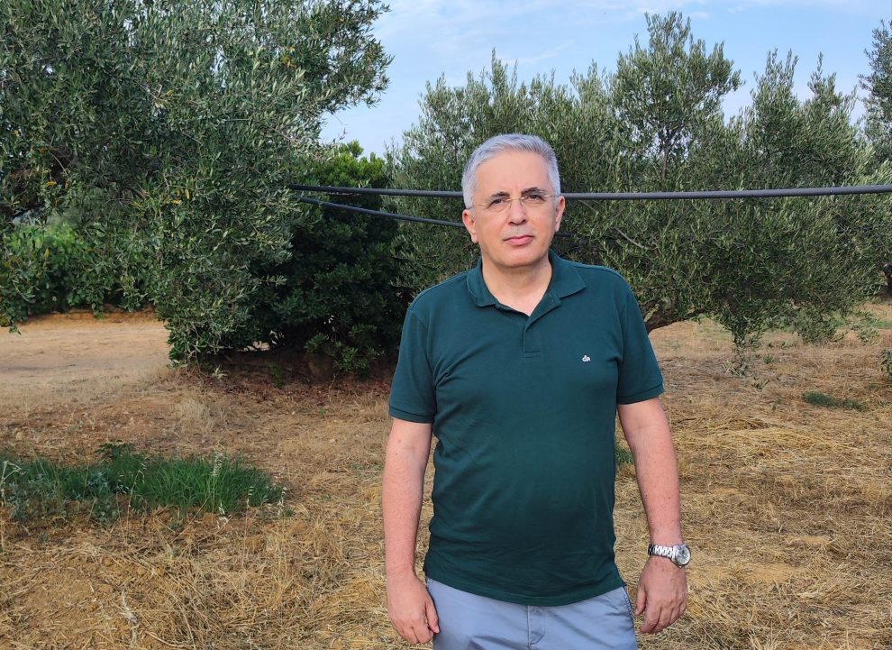 Μανώλης Μάκαρης: Να ξεκινήσει η δακοκτονία τώρα