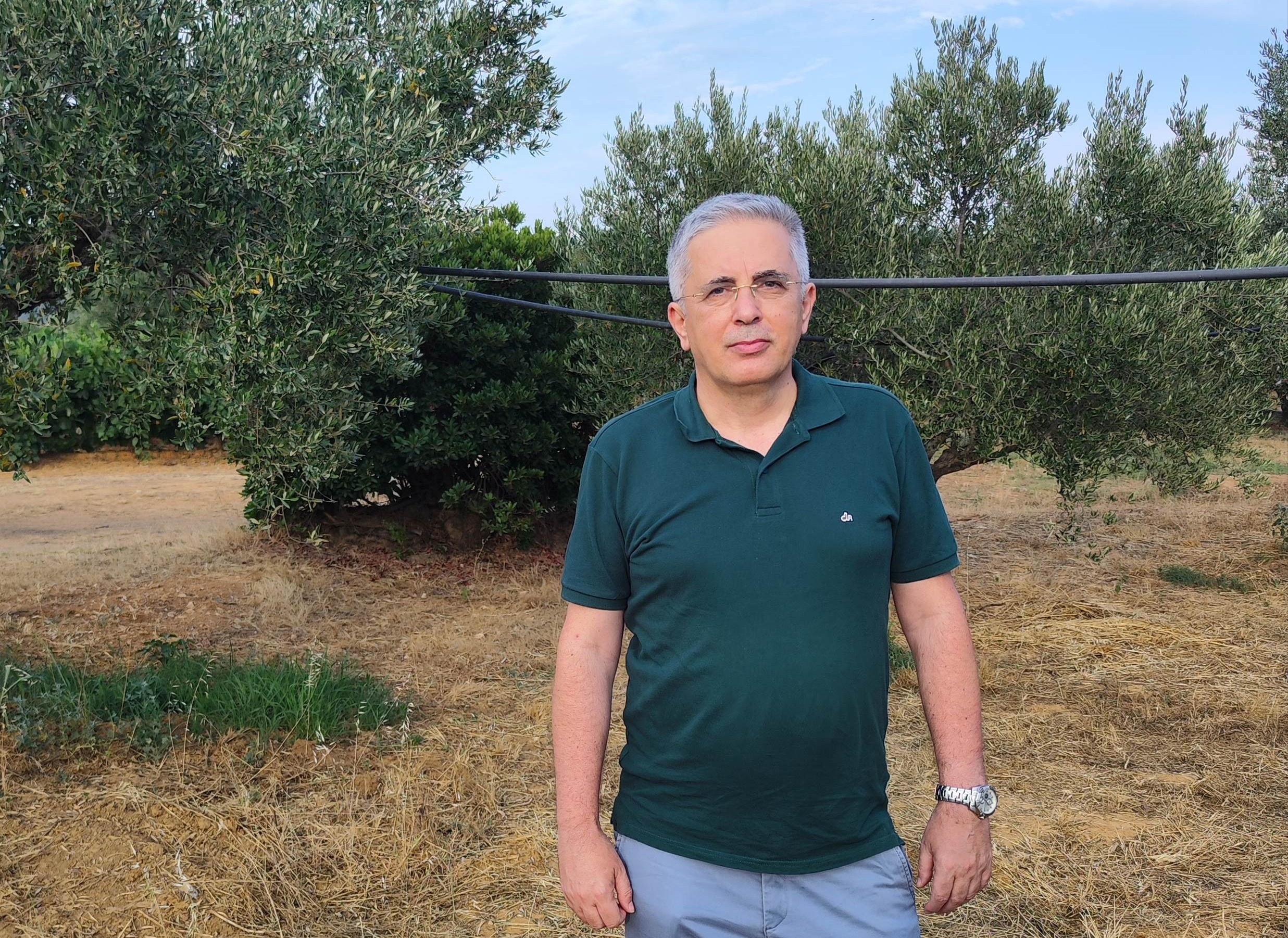 Μανώλης Μάκαρης: Να ξεκινήσει η δακοκτονία τώρα