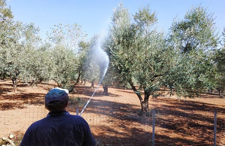 Λαϊκή Συσπείρωση Πελοποννήσου: Από τον Αύγουστο η δακοκτονία στη Μεσσηνία!