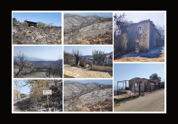 Τριφυλία: Περισσότερα από 8.000 στρέμματα έγιναν στάχτη