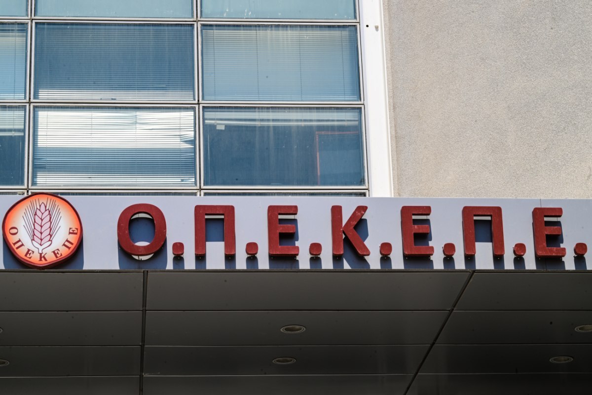 Παράγουμε περισσότερο φαγόπυρο  από όσο μπορεί να μεταβολίσει ο ΟΠΕΚΕΠΕ