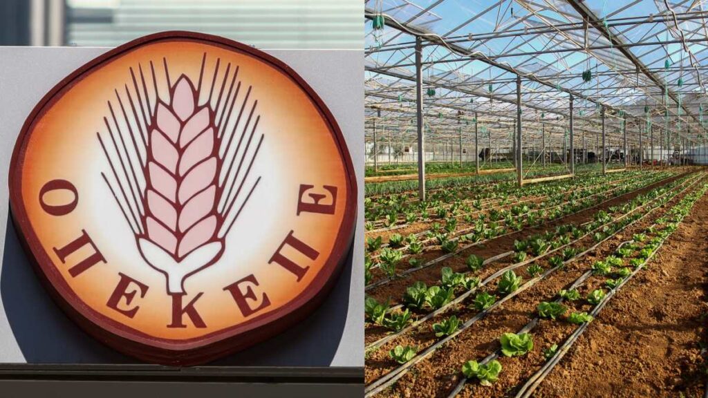 Πάνω από 49.000 πλαστά  πιστοποιητικά σε βιολογικές επιδοτήσεις