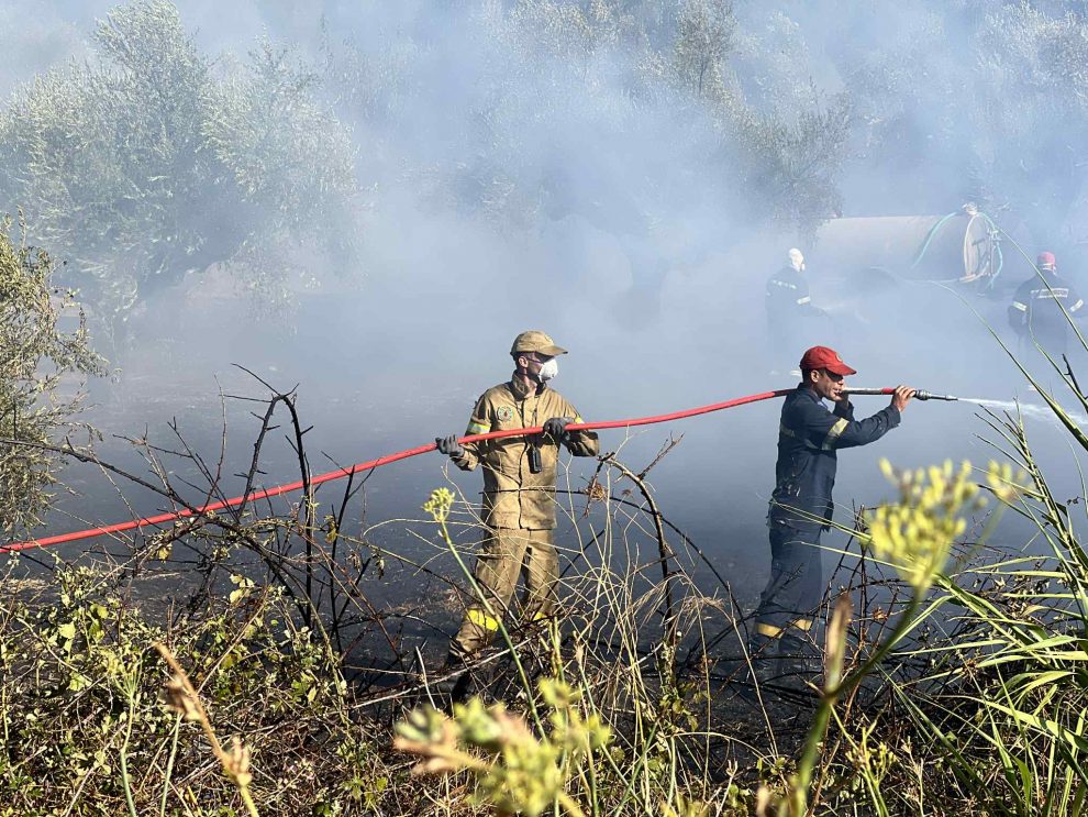 Υψηλός κίνδυνος πυρκαγιάς σήμερα στη Μεσσηνία