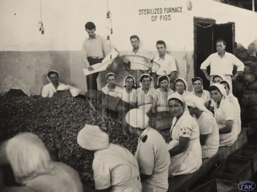 «ΘΑΡΡΟΣ» 26 Ιουνίου 1932: Ιδρύονται εν Μεσσηνία 3 αποστειρωτικοί θαλάμοι σύκων
