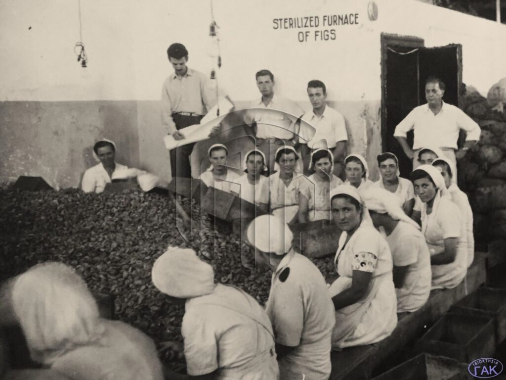 «ΘΑΡΡΟΣ» 26 Ιουνίου 1932: Ιδρύονται εν Μεσσηνία 3 αποστειρωτικοί θαλάμοι σύκων