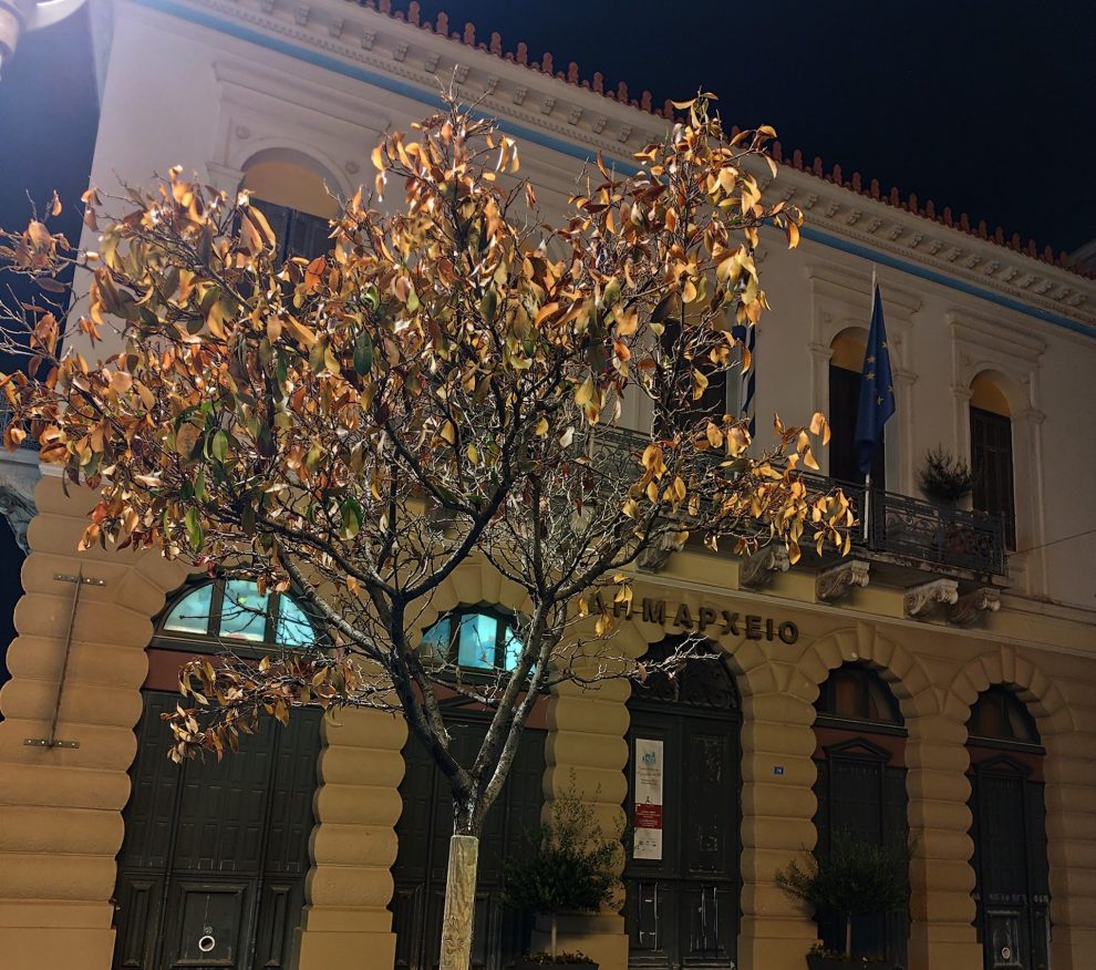 Τα δέντρα που ξεράθηκαν