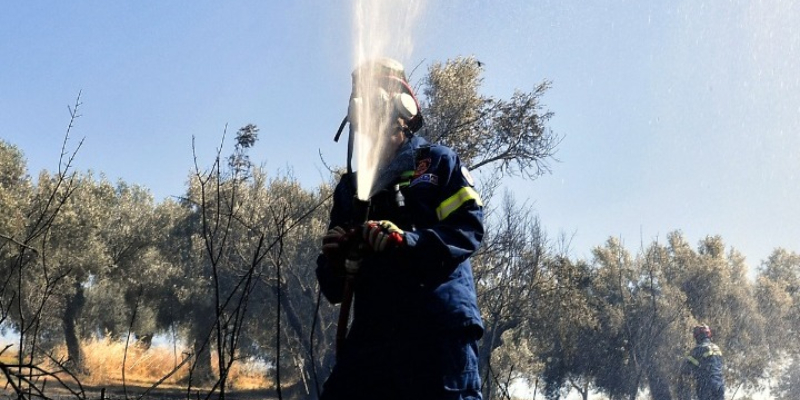 Φωτιά στα Μενινά Ταϋγέτου