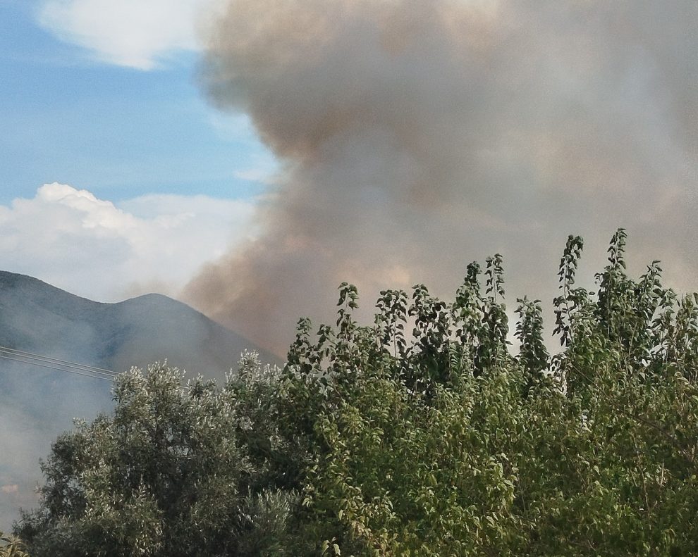 Φωτιά στο Αριοχώρι