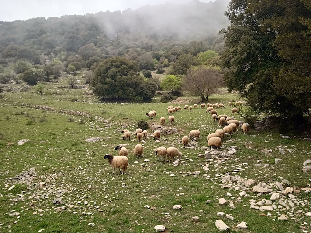 Ασουταίνα και Μάλη: Ορεινά χωριά της Μεσσηνίας σε ένα  ταξίδι στη φύση και την ιστορία