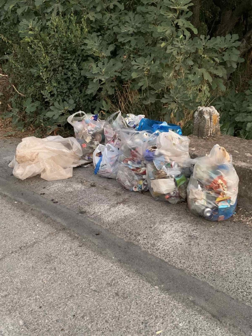 Όταν τα παιδιά μάς δίνουν μαθήματα