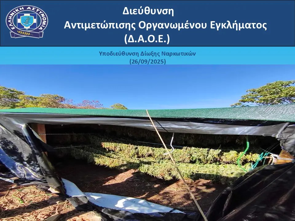 Αρκαδία: Εξάρθρωση εγκληματικής οργάνωσης που διακινούσε κάνναβη – Πάνω από 8 εκατομμύρια τα κέρδη