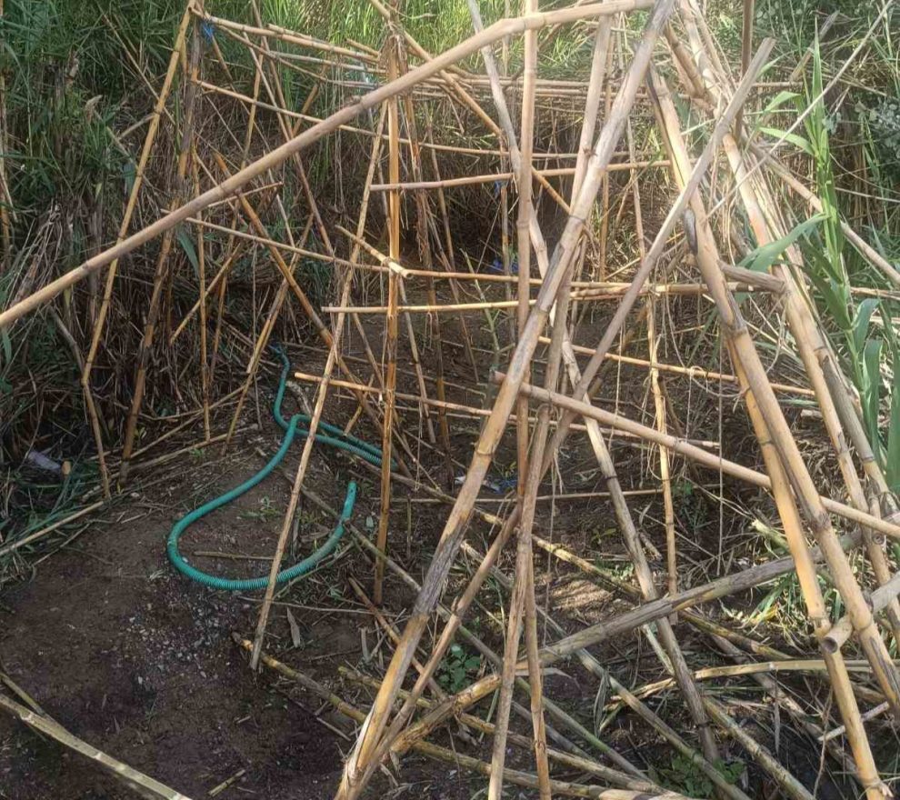 Κατασχέσεις χασίς και  δενδρυλλίων κοντά στην Καλαμάτα