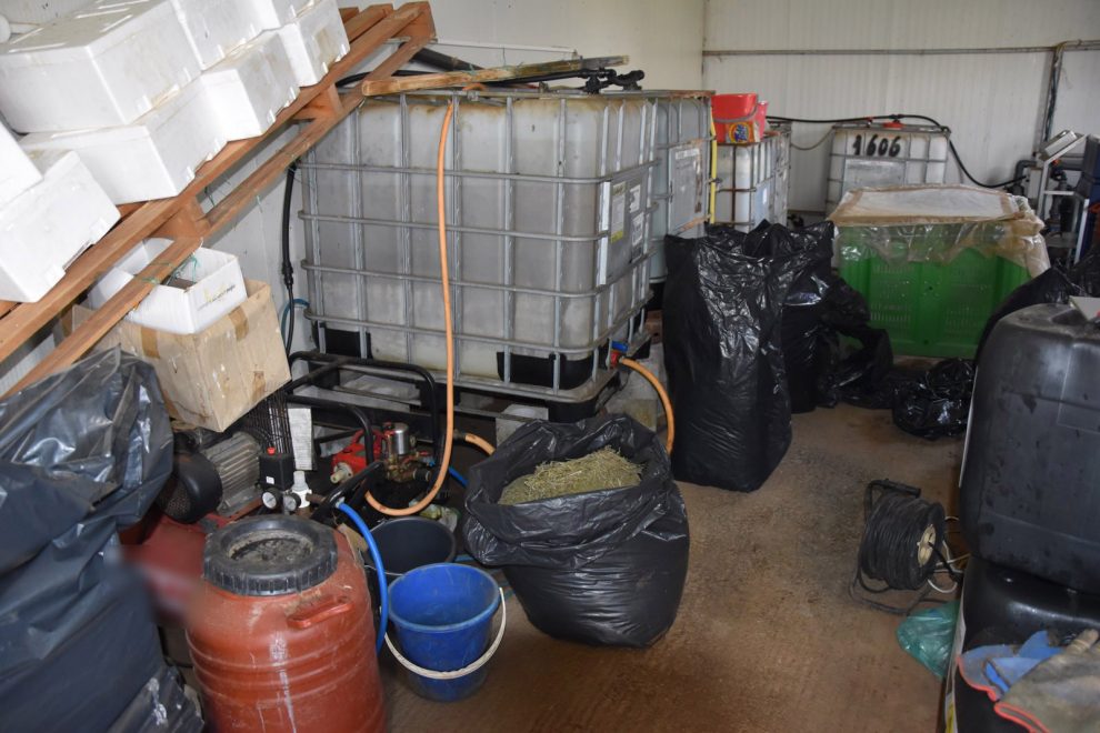 Μεσσηνία: Πώς η κάνναβη από νόμιμη έγινε…υπόθεση ναρκωτικών