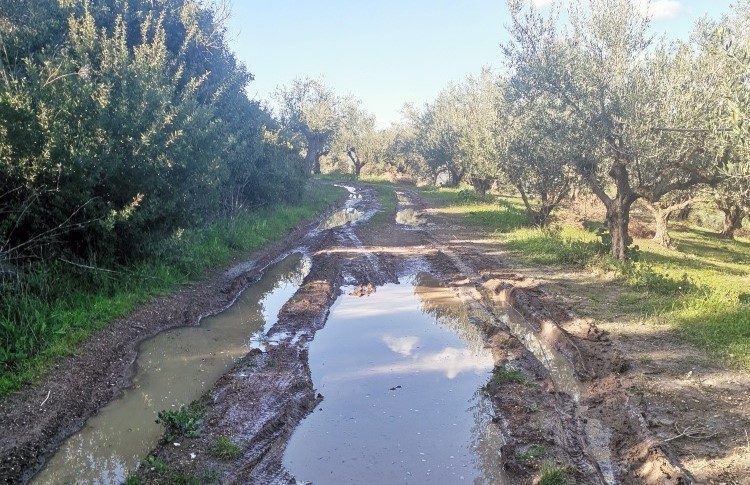 Μύρου-Αλιμάκι Τριφυλίας: Απελπιστική και επικίνδυνη η κατάσταση αγροτικών δρόμων