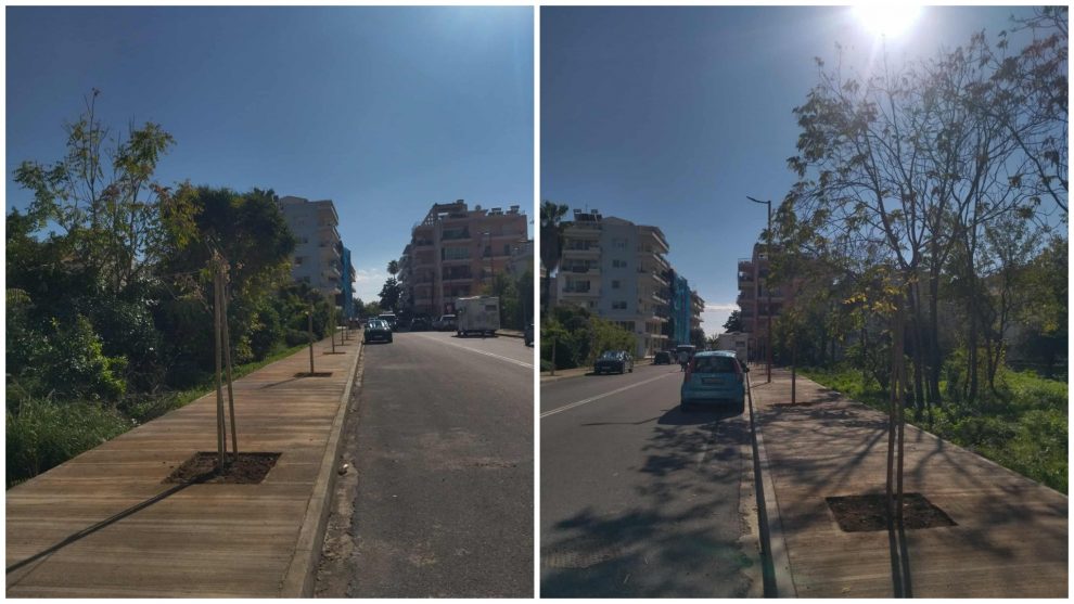 Προμήθεια και φύτευση  ακόμα 300 δέντρων στην Καλαμάτα