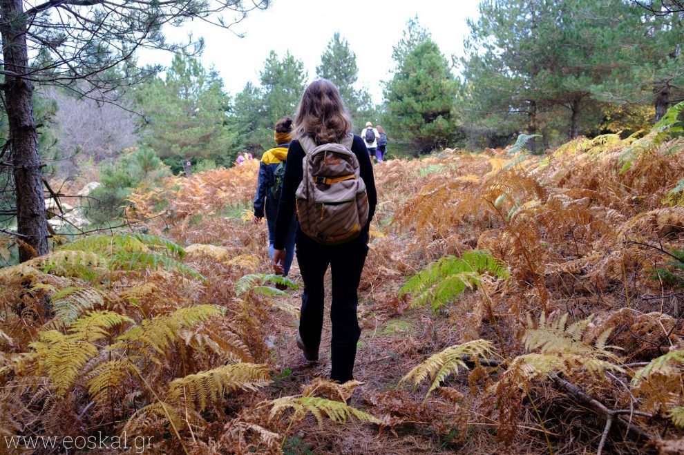 Εξόρμηση στο Φαράγγι των Μύλων με τον Ορειβατικό Σύλλογο Καλαμάτας