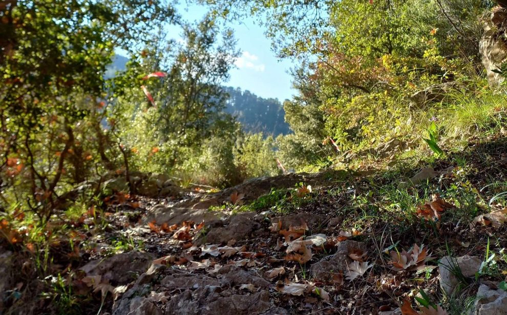 Ένα ιστορικό μονοπάτι 400 ετών στο Σελλά Μεσσηνίας