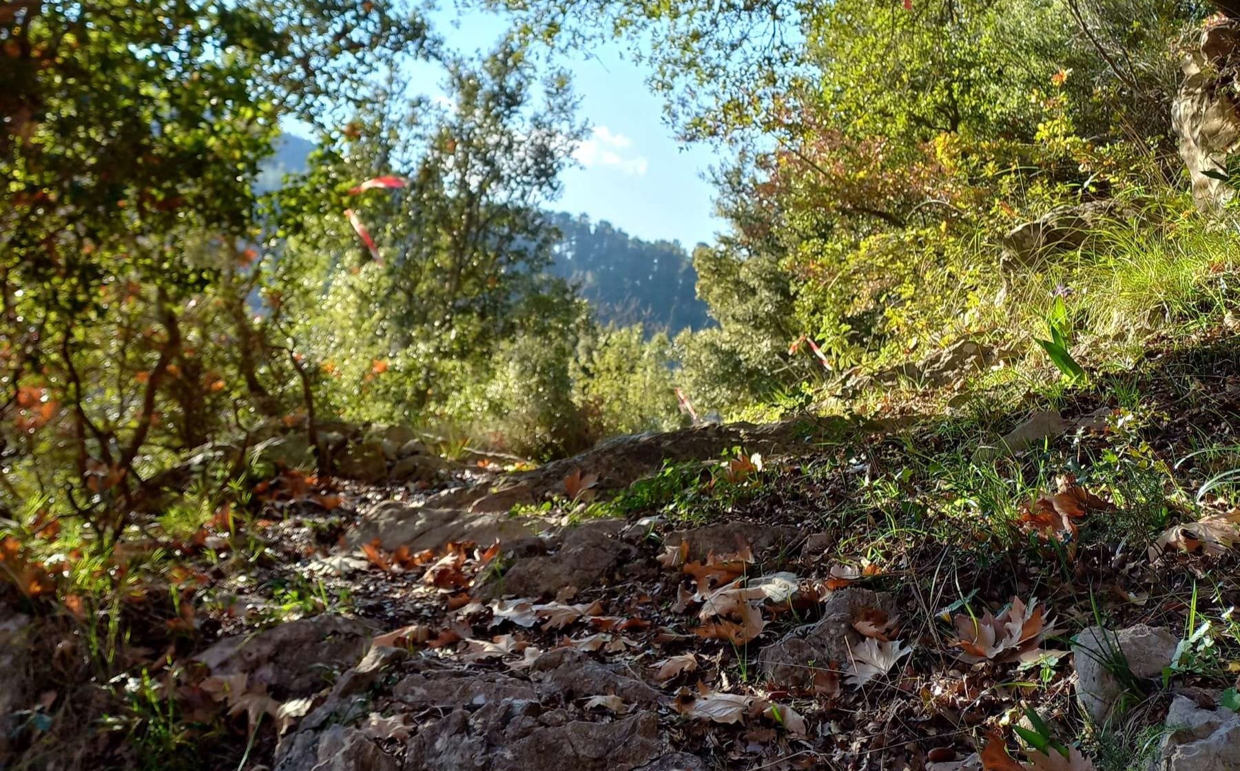 Ένα ιστορικό μονοπάτι 400 ετών στο Σελλά Μεσσηνίας