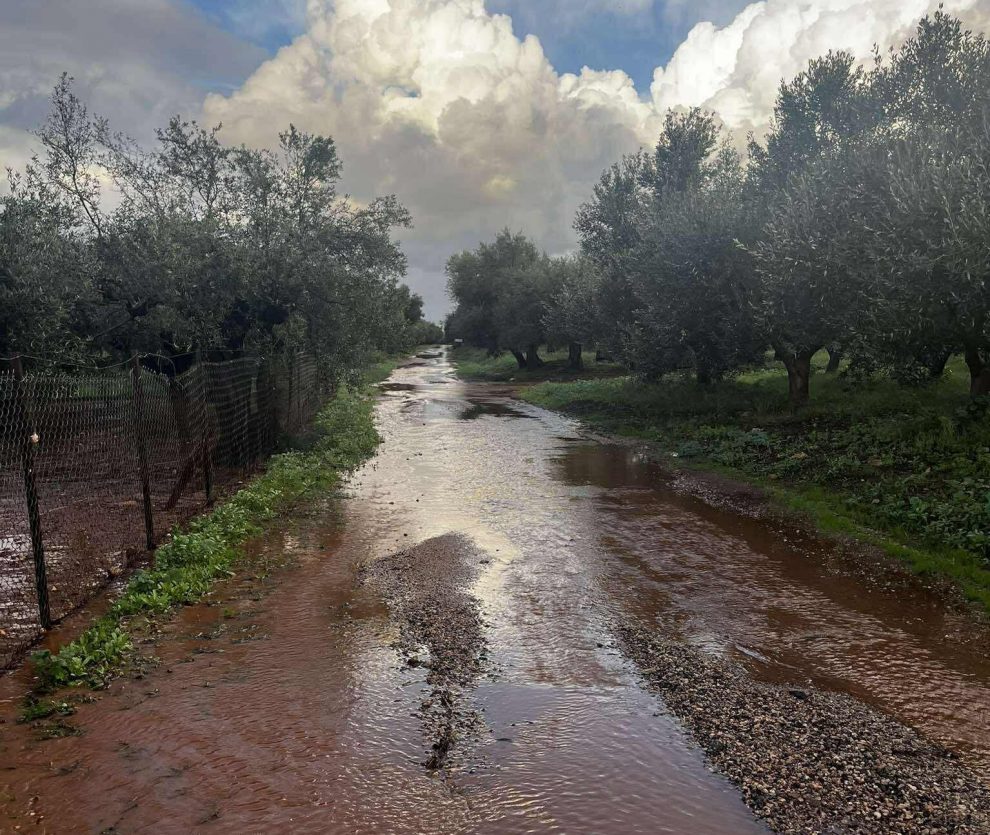 Εξοχικό Τριφυλίας: Σε κάθε βροχή πλημμυρίζει ο δρόμος εισόδου