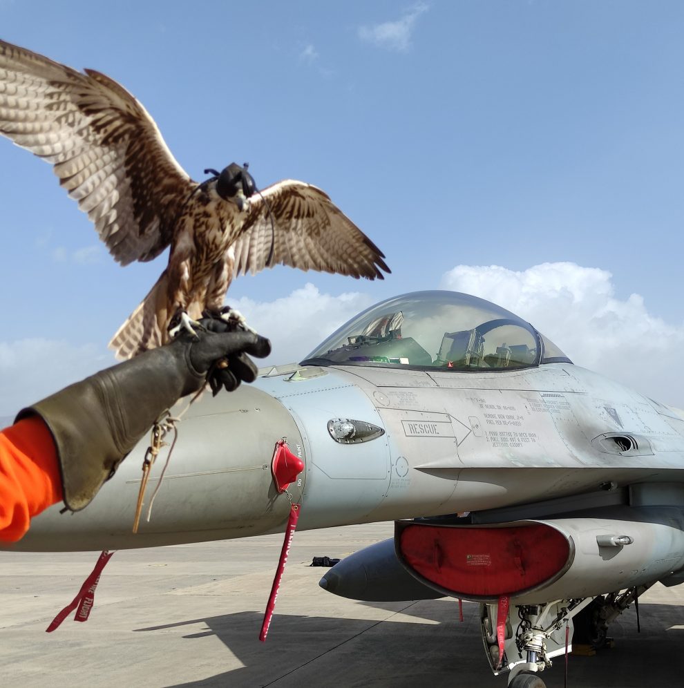 Δύο γεράκια του ουρανού